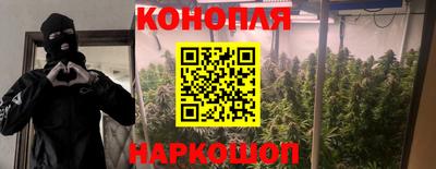 скорость Пугачёв