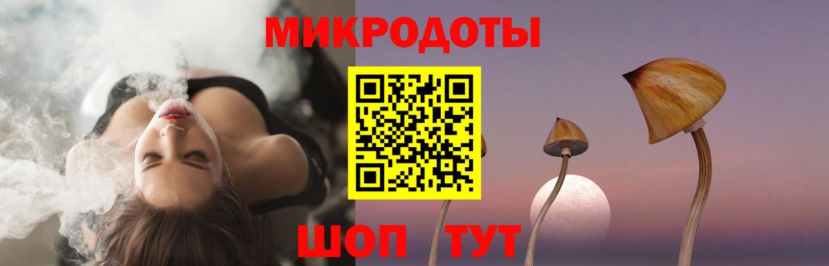 Томск  Псилоцибиновые грибы Cubensis  Вход с VPN 